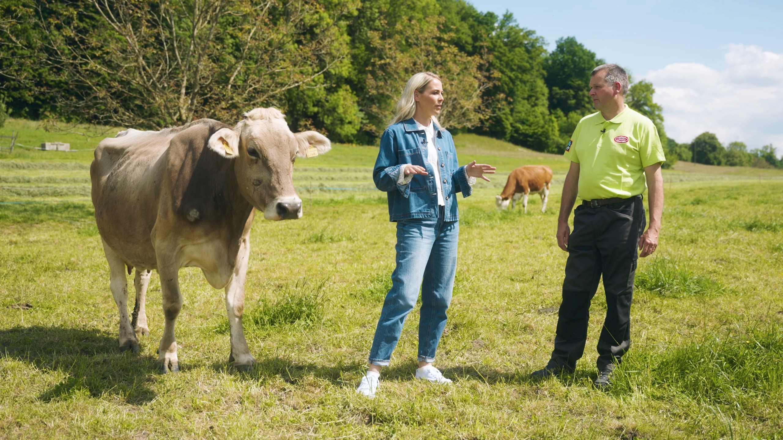 ALDI Suisse — Retour aux sources