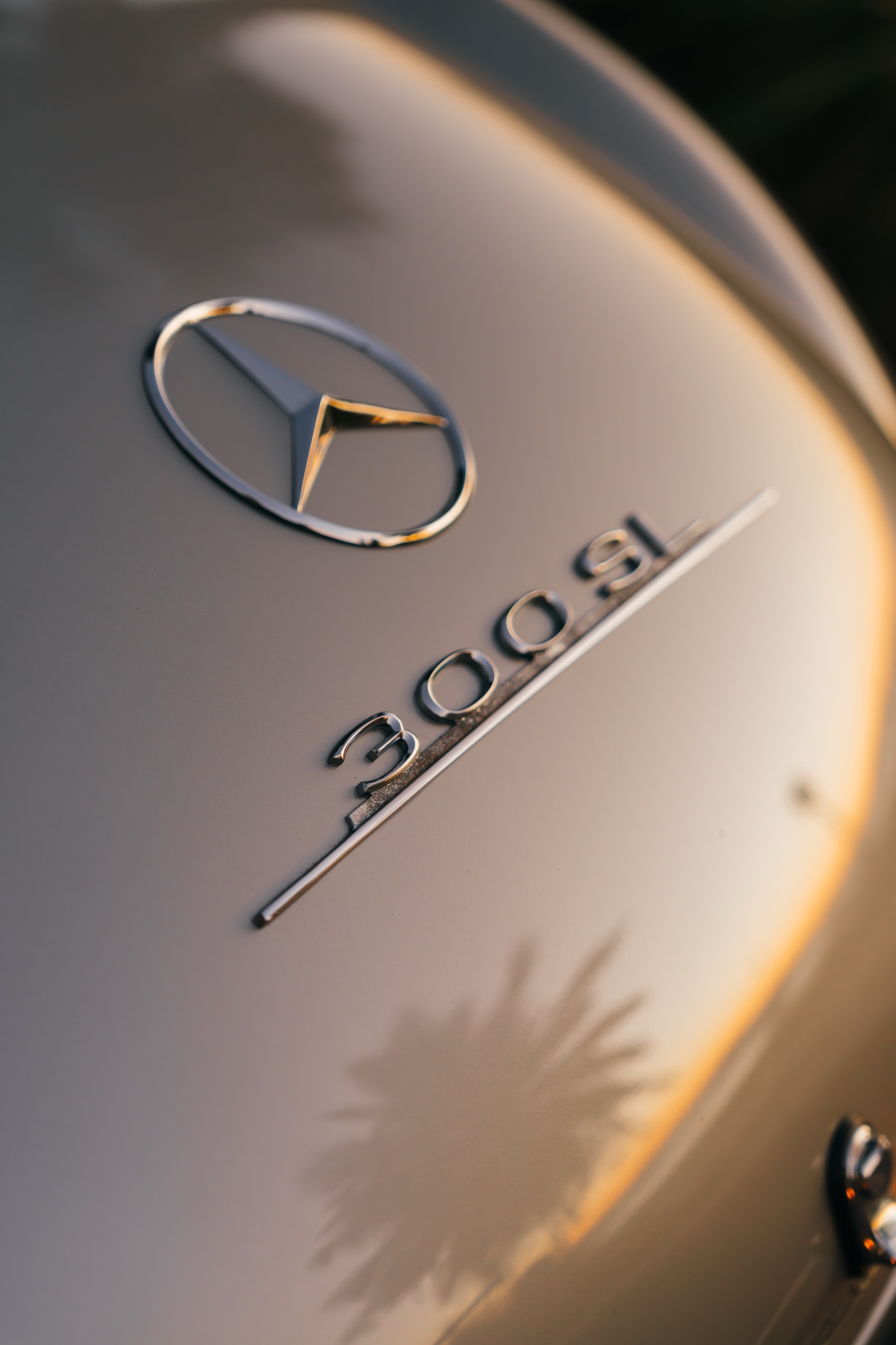 Nahaufnahme des Schriftzugs „300 SL“ mit Mercedes-Stern auf dem silbernen Kotflügel