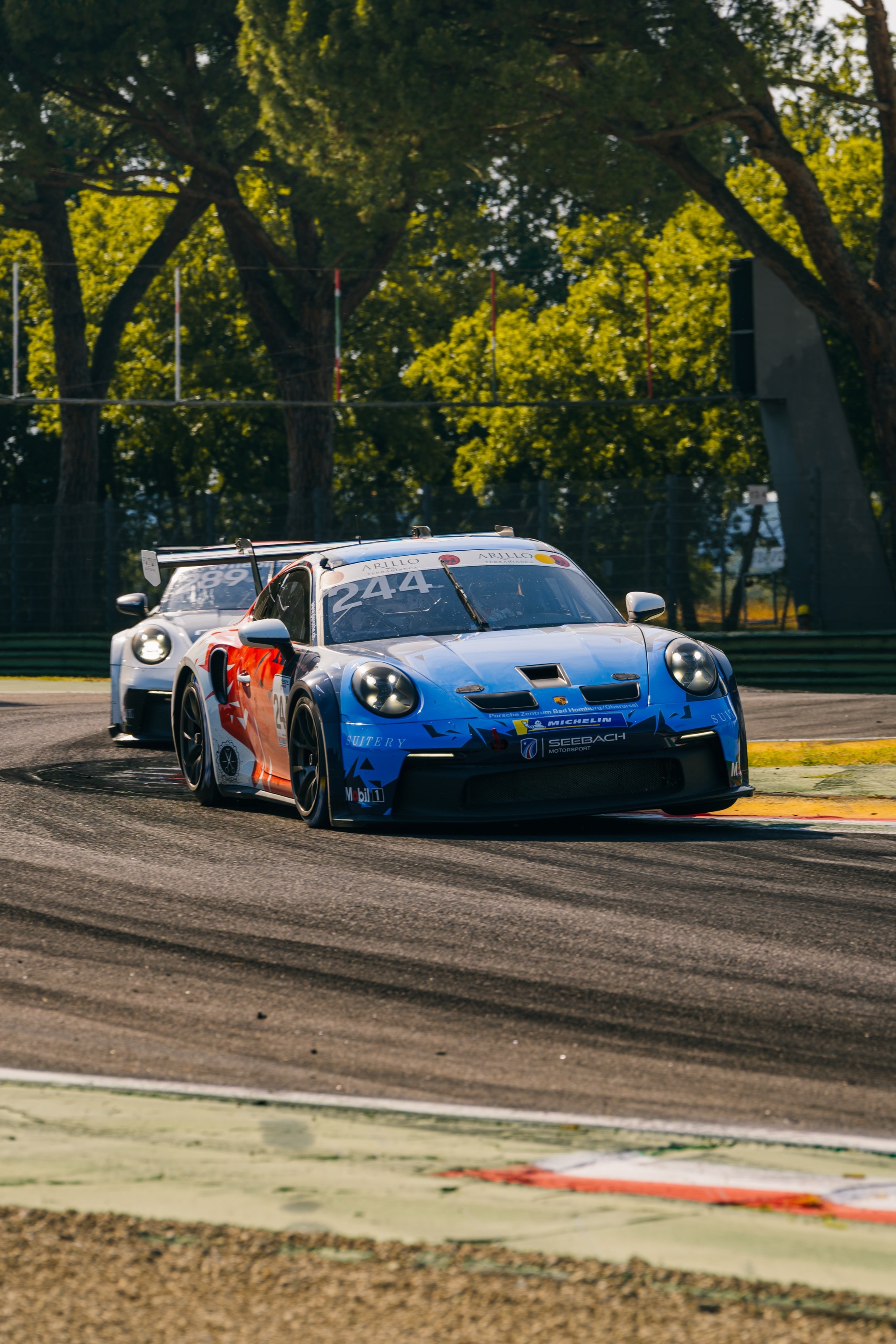 Der 911 GT3 Cup in einer Kurve unter den Pinien von Imola